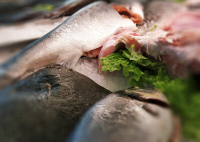 Restaurante Cervejaria Don Pedro na Terrugem em Sintra. Peixe e carnes grelhadas, marisco, polvo à lagareiro, naco na pedra e mais.
